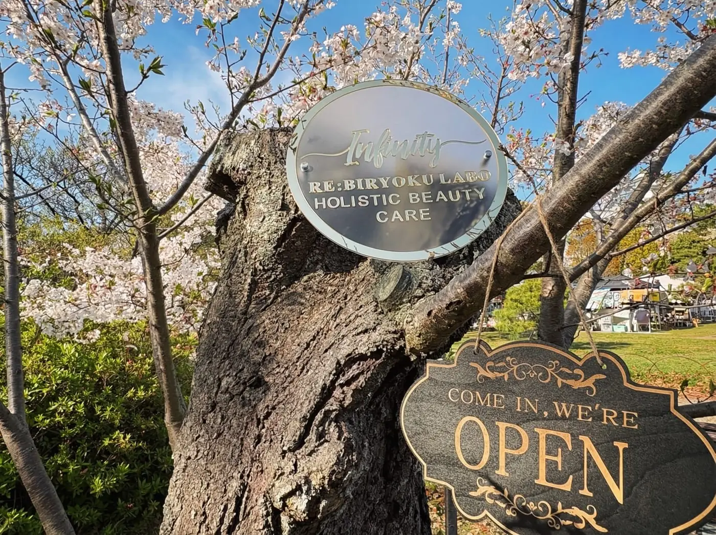 OPEN サインと桜