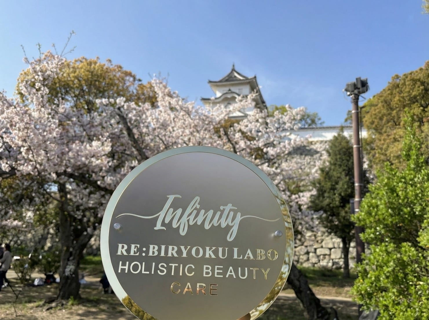 サロンプレートと桜