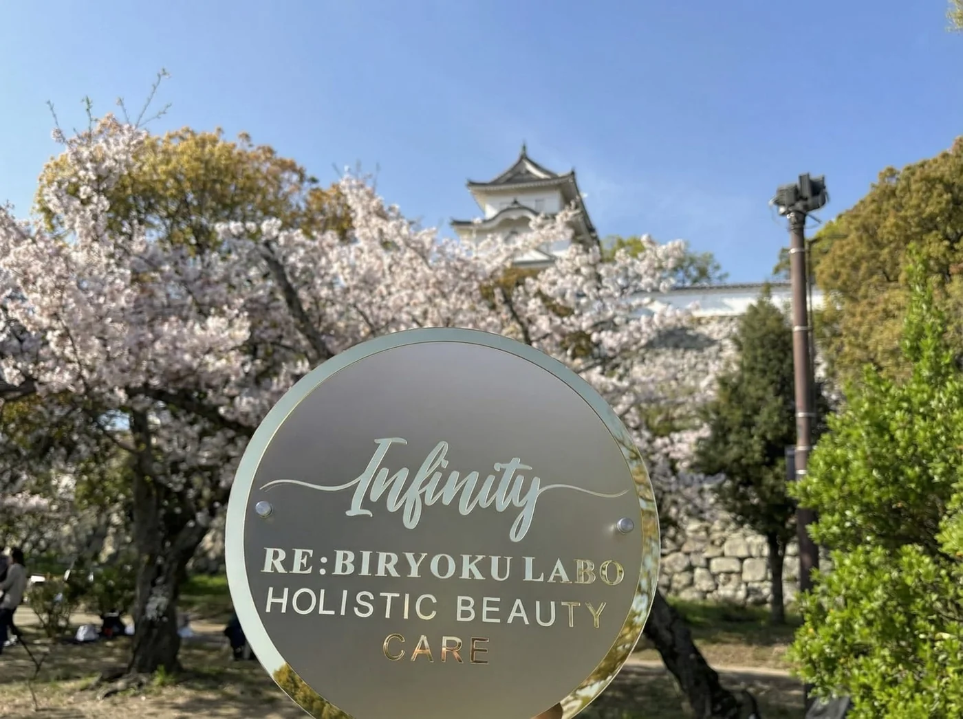 サロンプレートと桜